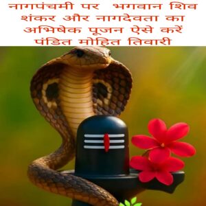 Nag panchmi par Bhagwan Shiv Shankar aur nag Devta ka Abhishek Pujan aise Kare pandit mohit tiwari